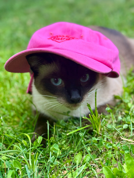 KLB Pink Twill Baseball Cap