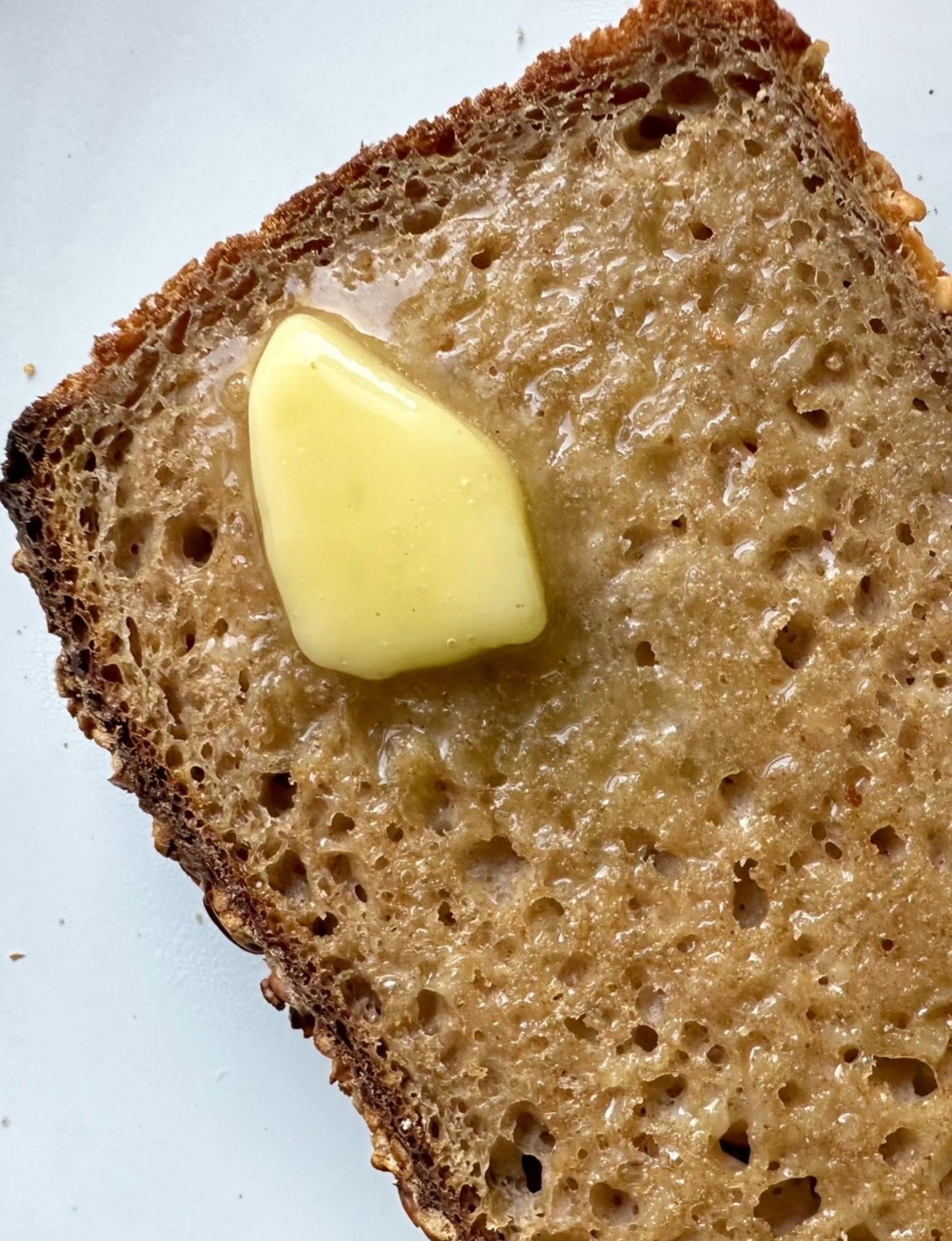 Gluten-free Sourdough, Classic Oat Bread