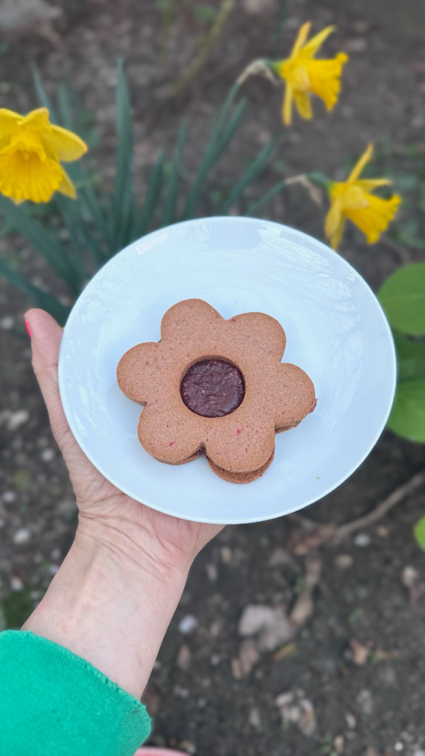 Gluten-free Sourdough, Vegan Flower Linzer Cookies