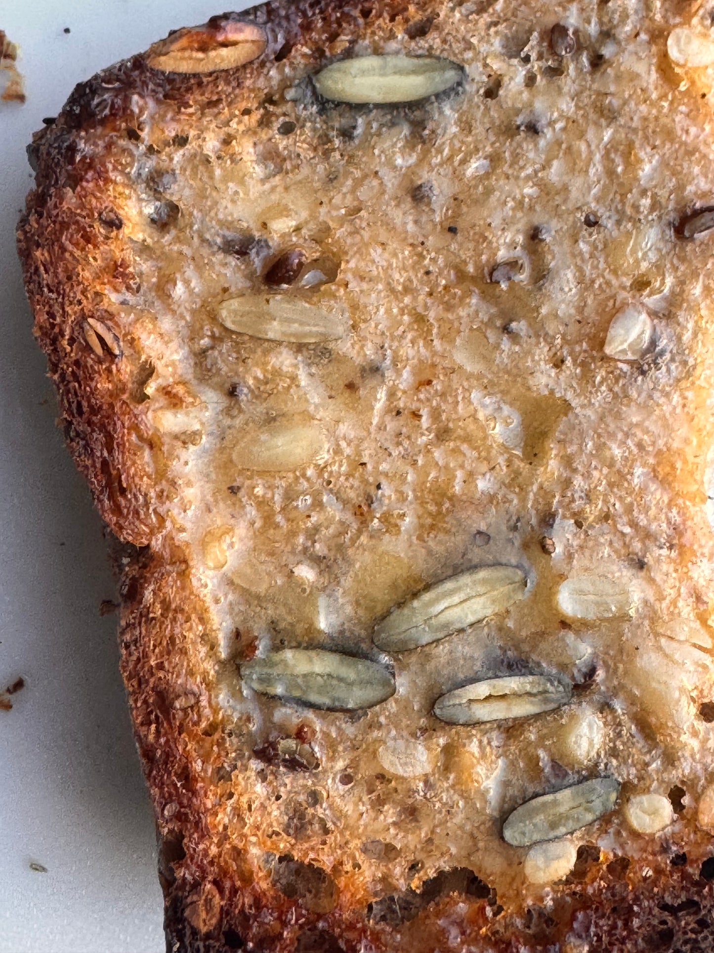 Close-up of bread with seeds on a white surface
